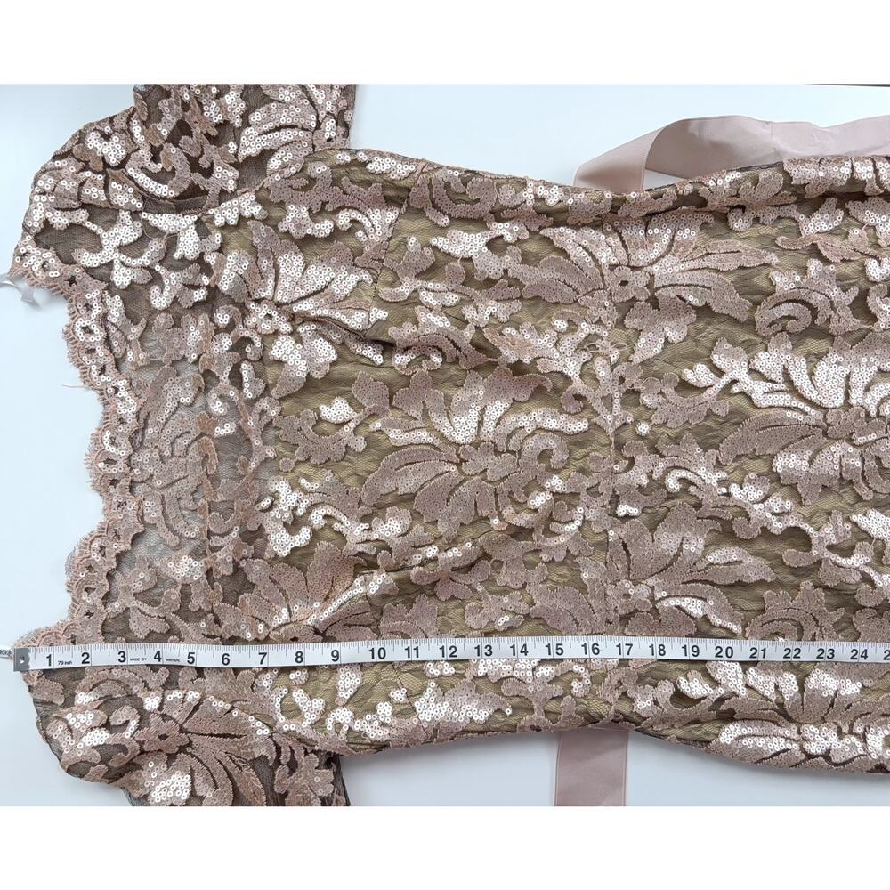 NWT Tadashi Shoji Paillette Embroidered Gown in Gisng Size 12 - Picture 15 of 16
